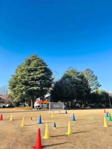 本日も晴天也。陽気な日が続きます。修検日和です