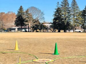 基本中の基本。ホバリングの様子です