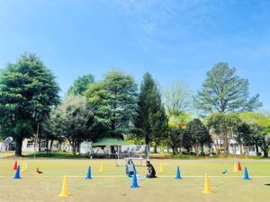 お天気は良好。風は最悪。これでも想定内なんです