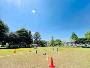 本日の天候はドローン日和。しかし午後から風速強予定