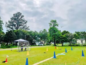 「実技審査」ピルエット飛行。15-20秒回転