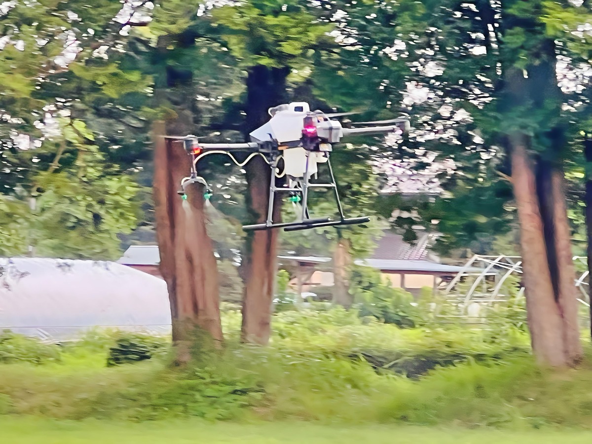 直進性、安定性（高度維持）滞空性能と申し分なし