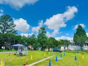 お天気は最高ですが風速がヤバい。特訓日和です