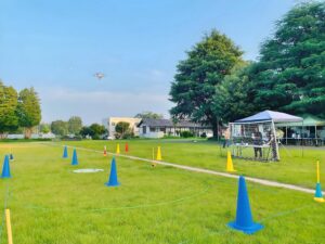 「実技審査」ピルエット飛行。15-20秒回転