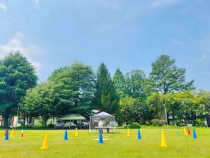 晴天也。訓練日和ですがしかし暑さが戻って参りました