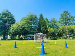 本日も晴天也はいいけど、ちと風がほしいところ