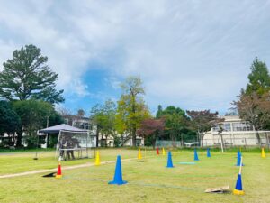 だんだん風速強。毎年恒例の秋雨前線の影響ですね